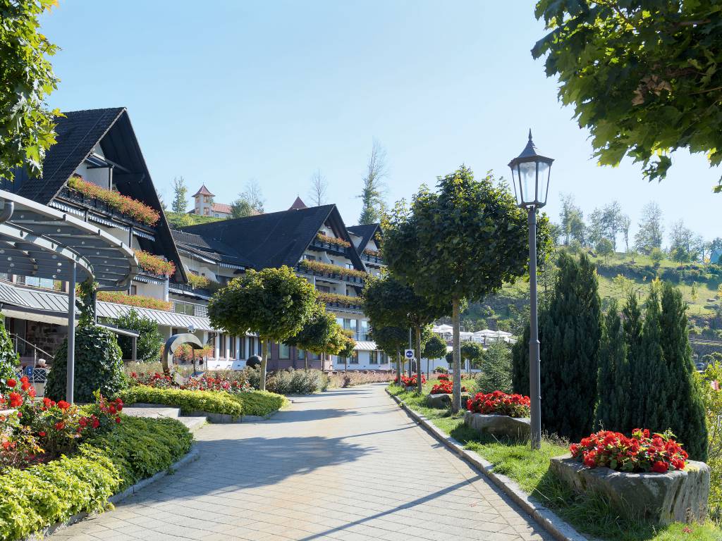 Your 5 Star Superior Hotel In The Black Forest Relais Chateaux Hotel Dollenberg